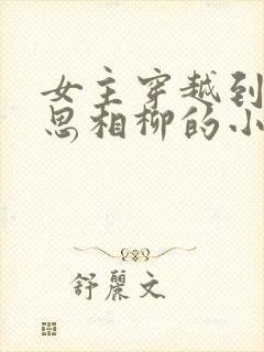 女主穿越到长相思相柳的小说
