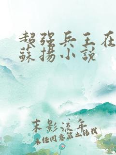 超强兵王在都市苏扬小说