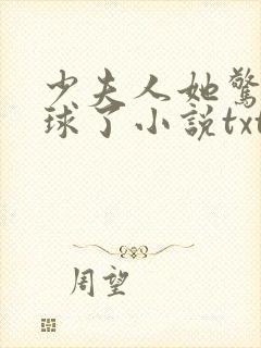 少夫人她惊艳全球了小说txt