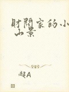 财阀家的小儿子 山景