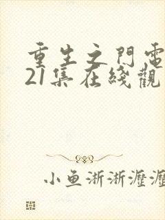 重生之门电视剧21集在线观看