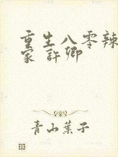 重生八零辣妻当家 许卿