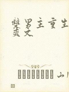 双男主重生复仇爽文