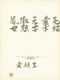 凤傲天黄毛反派也想要幸福