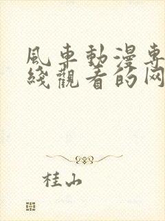 风车动漫专注在线观看的网站