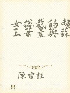 女总裁的超级兵王萧晨与苏晴