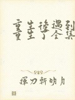 重生后遇到你也重生了全集