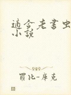 适合老书虫看的小说