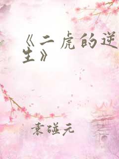 《二虎的逆袭人生》