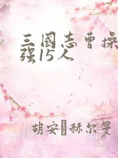 三国志曹操传最强15人