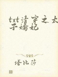 txt清穿之太子娇妃