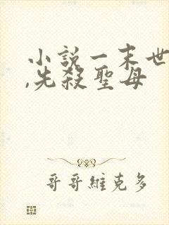 小说一末世降临,先杀圣母