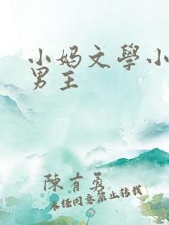 小妈文学小说双男主