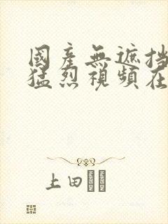 国产无遮挡免费猛烈视频在线观看