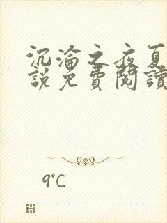 沉沦之夜夏婉小说免费阅读