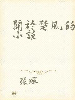 关于楚风的玄幻小说