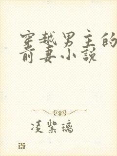 穿越男主的炮灰前妻小说