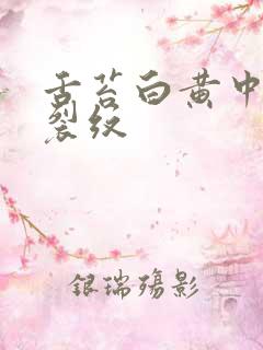 舌苔白黄中间有裂纹