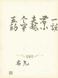 五个夫君一个妻的穿越小说