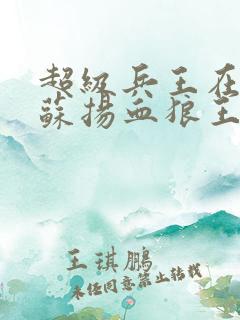 超级兵王在都市苏扬血狼王