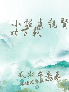 小说贞观贤王txt下载