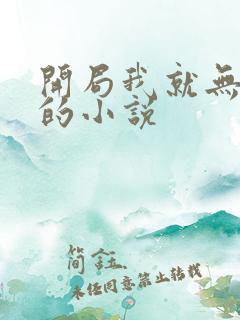 开局我就无敌了的小说