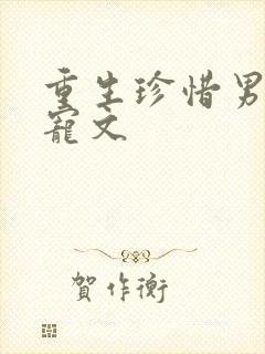 重生珍惜男主的宠文