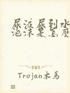 尿液尿到水里有泡沫是怎么回事