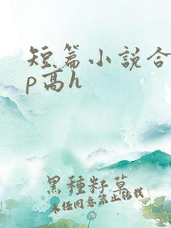 短篇小说合集np高h
