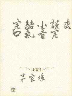 完结小说爽文一口气看完