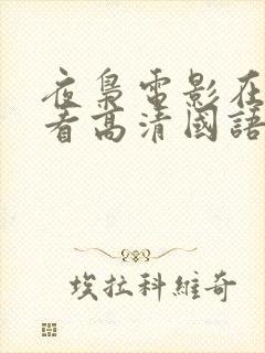 夜枭电影在线观看高清国语