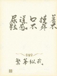 尿道口摸着有颗粒感不疼不痒