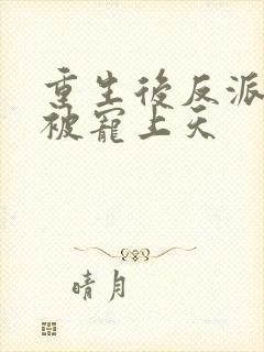 重生后反派哥哥被宠上天