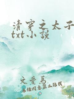 清穿之太子娇妃txt小说
