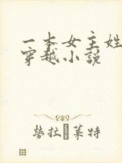 一本女主姓沈的穿越小说