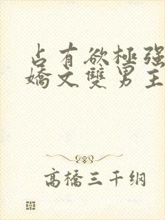 占有欲极强的病娇文双男主小说