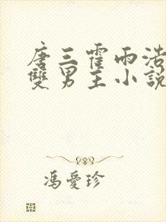 唐三霍雨浩cp双男主小说