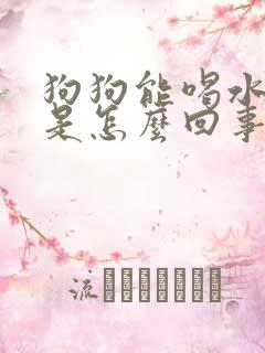 狗狗能喝水能尿是怎么回事