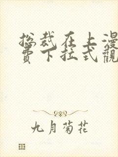 总裁在上漫画免费下拉式观看