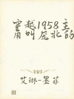 穿越1958主角叫庞北的小说