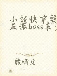 小说快穿系统之反派boss来袭