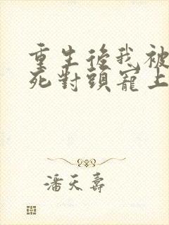 重生后我被渣男死对头宠上天.