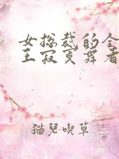 女总裁的全能兵王寂寞舞者