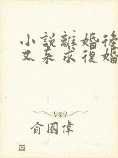 小说离婚后霍总又来求复婚了在线阅读