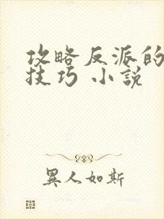 攻略反派的特殊技巧 小说