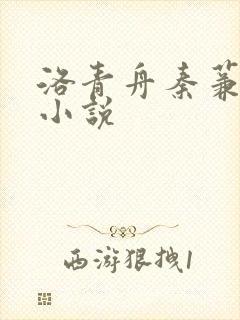 洛青舟秦蒹葭的小说