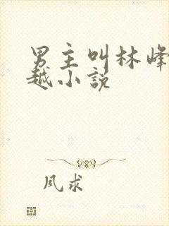 男主叫林峰的穿越小说