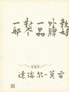 一对一外教口语哪个品牌好