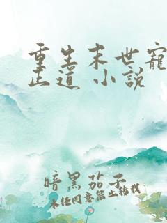 重生末世宠妻是正道 小说