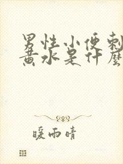 男性小便刺痛流黄水是什么原因